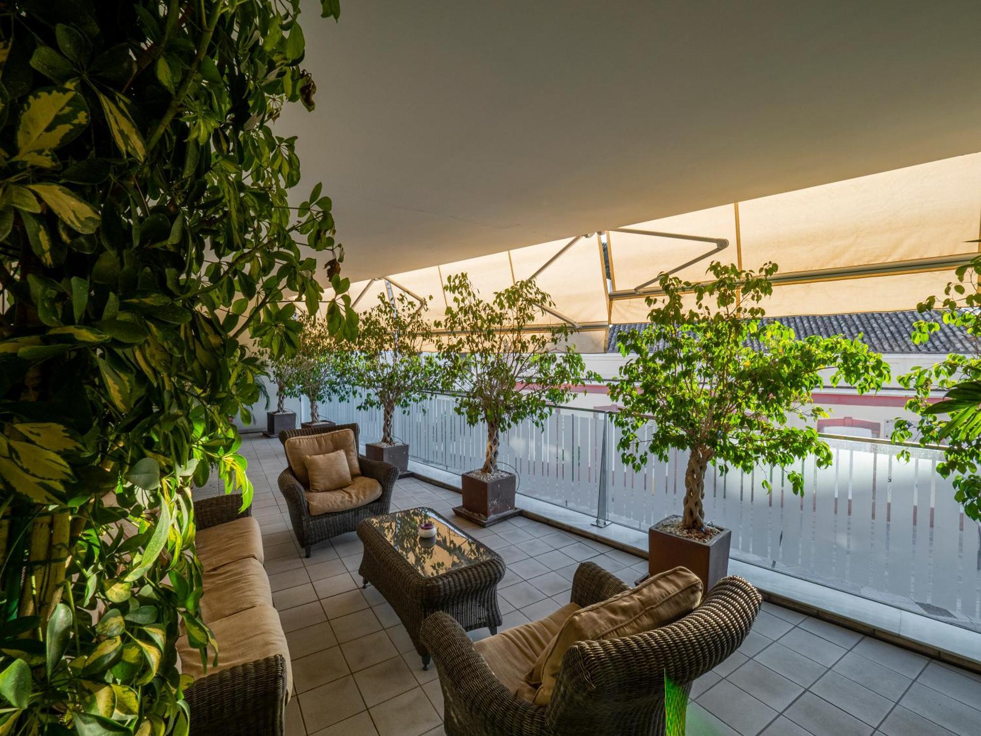 Apto Valdespino Gran Terraza Fjhomefj Apartment Jerez de la Frontera